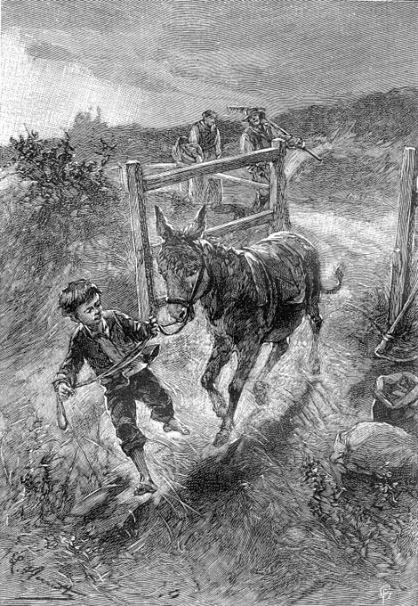 Малыш (илюстр) - _024.jpg