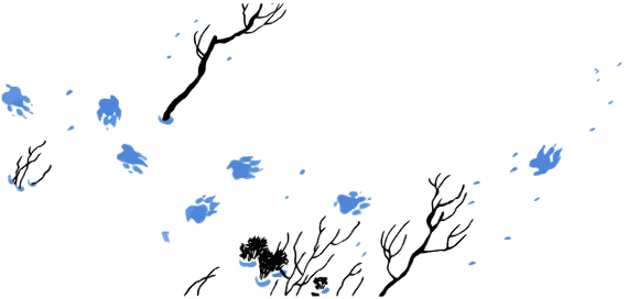 По волчьему следу - i_015.png