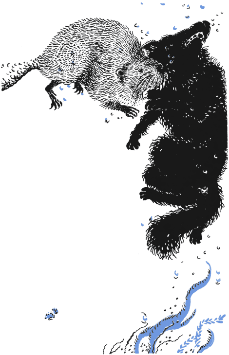 По волчьему следу - i_019.png