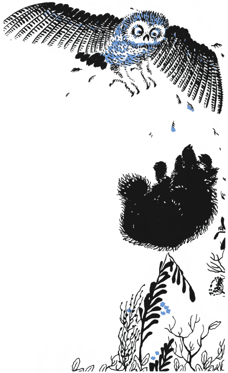 По волчьему следу - i_029.png