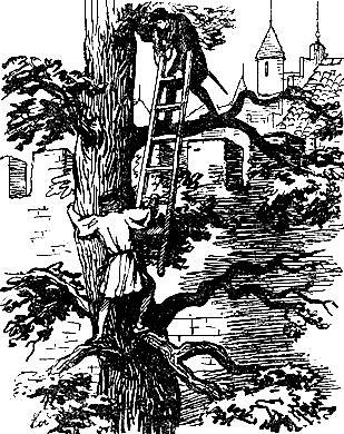 Асканио - i_012.png