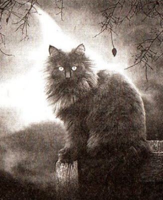 Мистика. Путешествия в неведомое - i_038.jpg