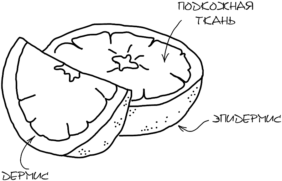 Диета красоты. Система питания голливудских звезд - i_001.png