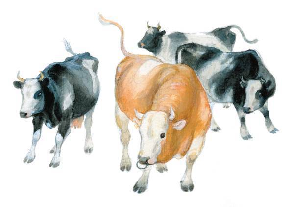 Арктур – гончий пес (сборник) - _23.jpg