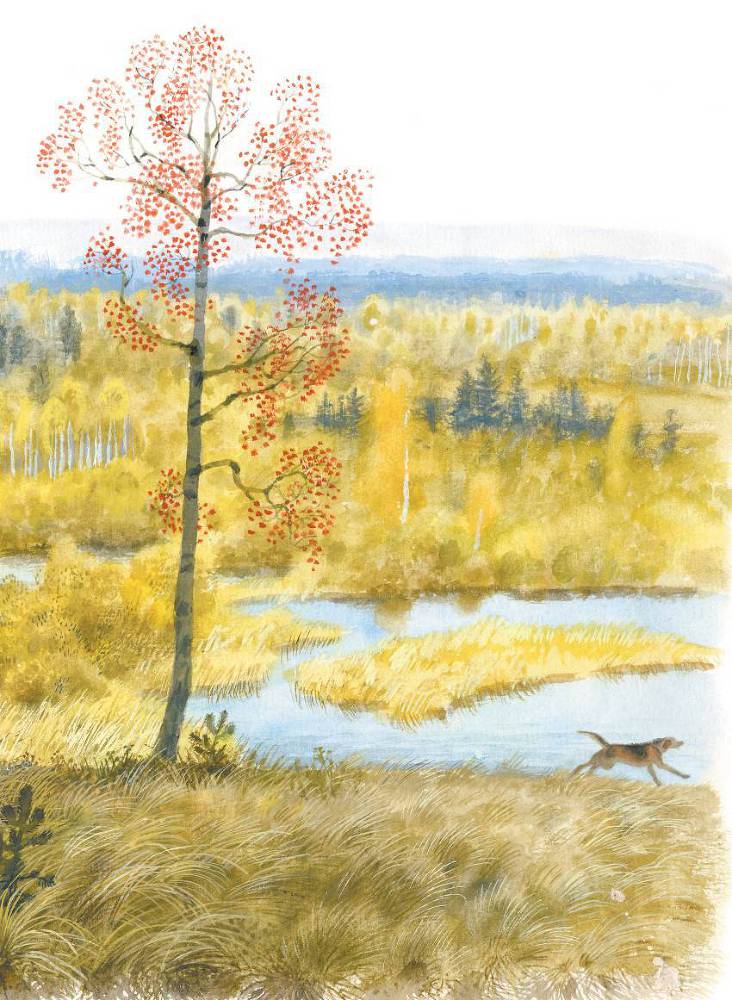 Арктур – гончий пес (сборник) - _26.jpg