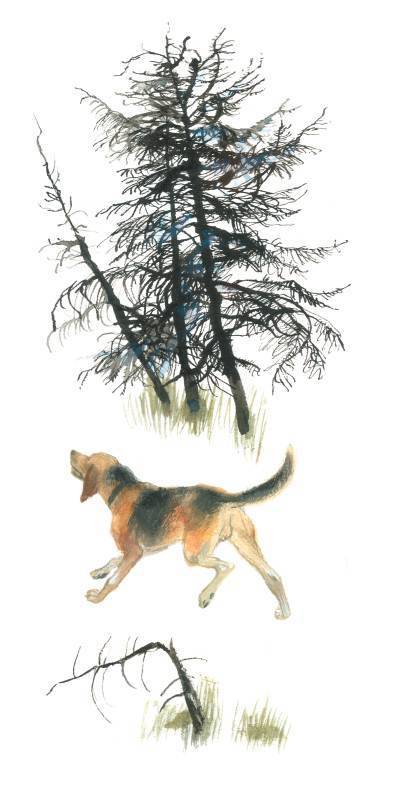 Арктур – гончий пес (сборник) - _27.jpg