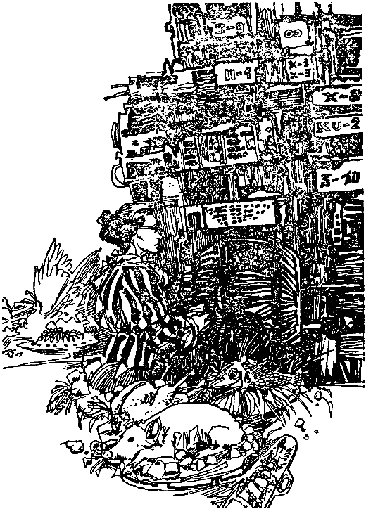 Компьютер по имени Джо (Сборник) - i_008.png