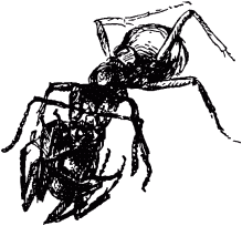 Маленькие труженики леса - _054.png