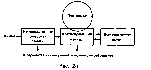 УЛУЧШАЕМ ПАМЯТЬ – В ЛЮБОМ ВОЗРАСТЕ - image002.png