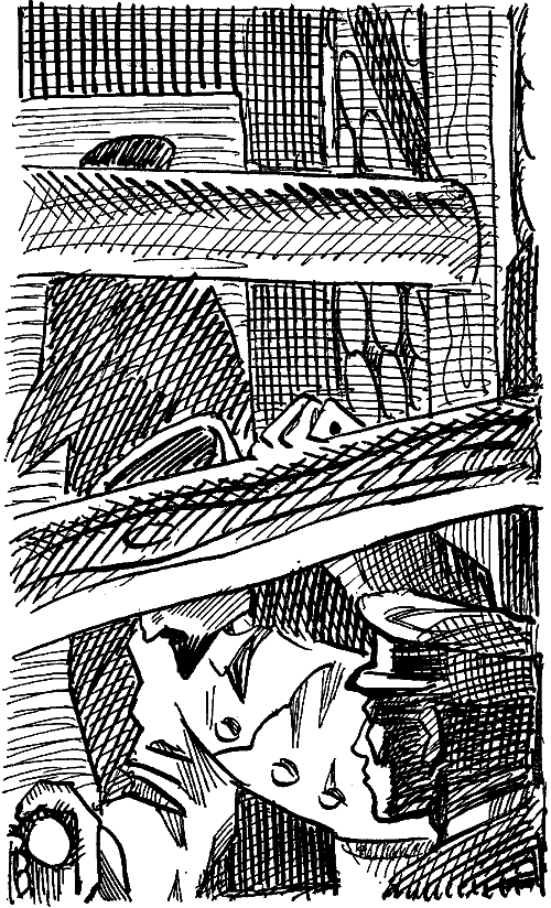 Искатель. 1974. Выпуск №6 - i_012.png