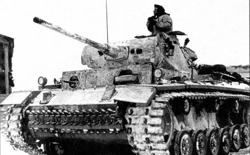 Превратности стратегии - i_009.jpg