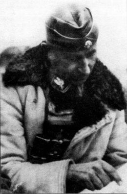 Превратности стратегии - i_010.jpg