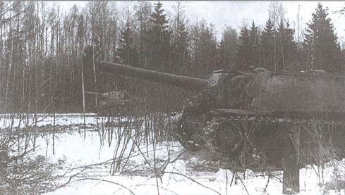 У стен Ленинграда - i_037.jpg