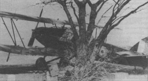 Ближние разведчики, корректировщики и штурмовики 1939-1945 - pic_45.jpg