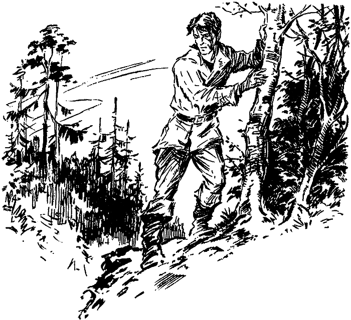 Искатель. 1974. Выпуск №4 - i_010.png