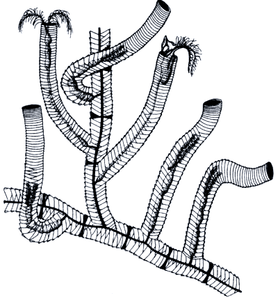 Бегство от одиночества - i_029.png