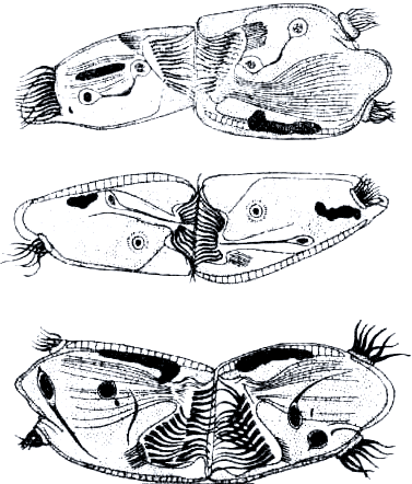 Бегство от одиночества - i_045.png