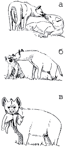 Бегство от одиночества - i_088.png