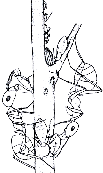 Бегство от одиночества - i_106.png