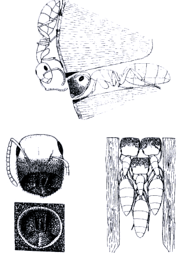 Бегство от одиночества - i_110.png