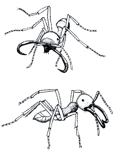 Бегство от одиночества - i_112.png