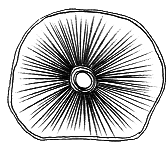 Тайны биологии - i_007.png_0