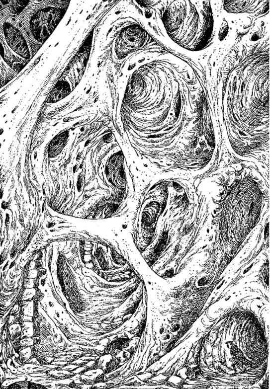 Древний странник - i_070.jpg