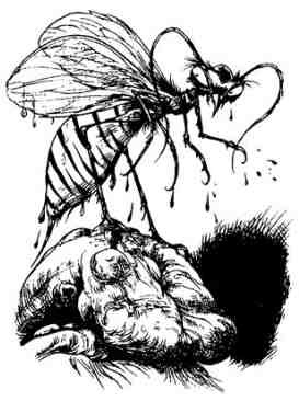 Зимние рыцари - i_095.jpg