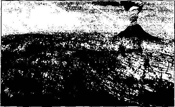 Пришельцы из прошлого - _20.jpg