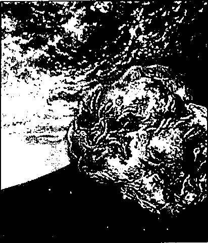 Пришельцы из прошлого - _23.jpg