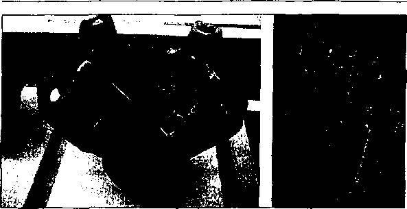 Пришельцы из прошлого - _29.jpg