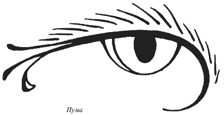 Всегда возвращаясь домой - i_002.png