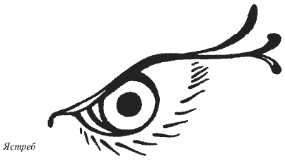 Всегда возвращаясь домой - i_006.png