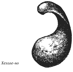 Всегда возвращаясь домой - i_012.png