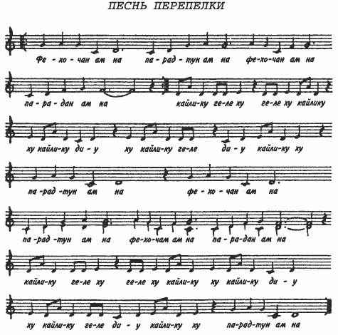 Всегда возвращаясь домой - i_034.png