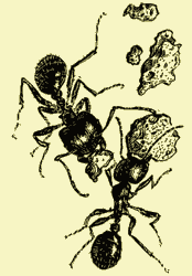 Мой мир - _2_16.png