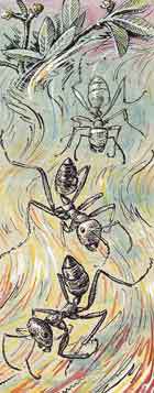 Мой мир - _2_17.jpg