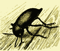 Мой мир - _2_18.png