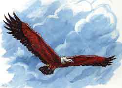 Мой мир - _2_25.jpg