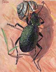 Мой мир - _2_27.jpg