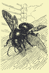 Мой мир - _2_30.png