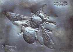 Мой мир - _2_31.jpg