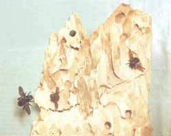 Мой мир - _2_32.jpg