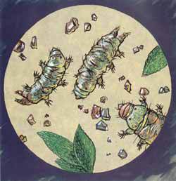 Мой мир - _2_35.jpg