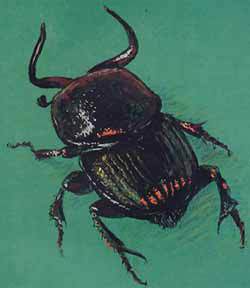 Мой мир - _2_51.jpg