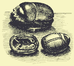 Мой мир - _2_52.png