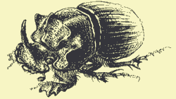 Мой мир - _2_56.png