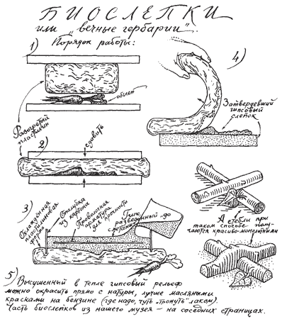 Мой мир - _4a_14.png