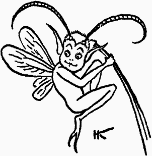 Тайны мира насекомых - i_049.png