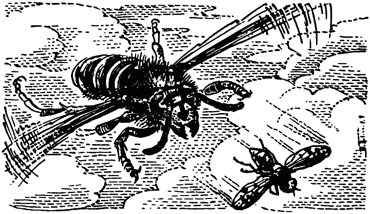 Чем питаются насекомые - i_016.png